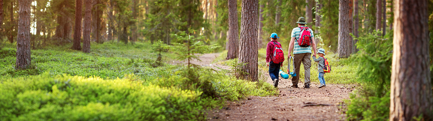 The back of a family taking a hike in the woods.